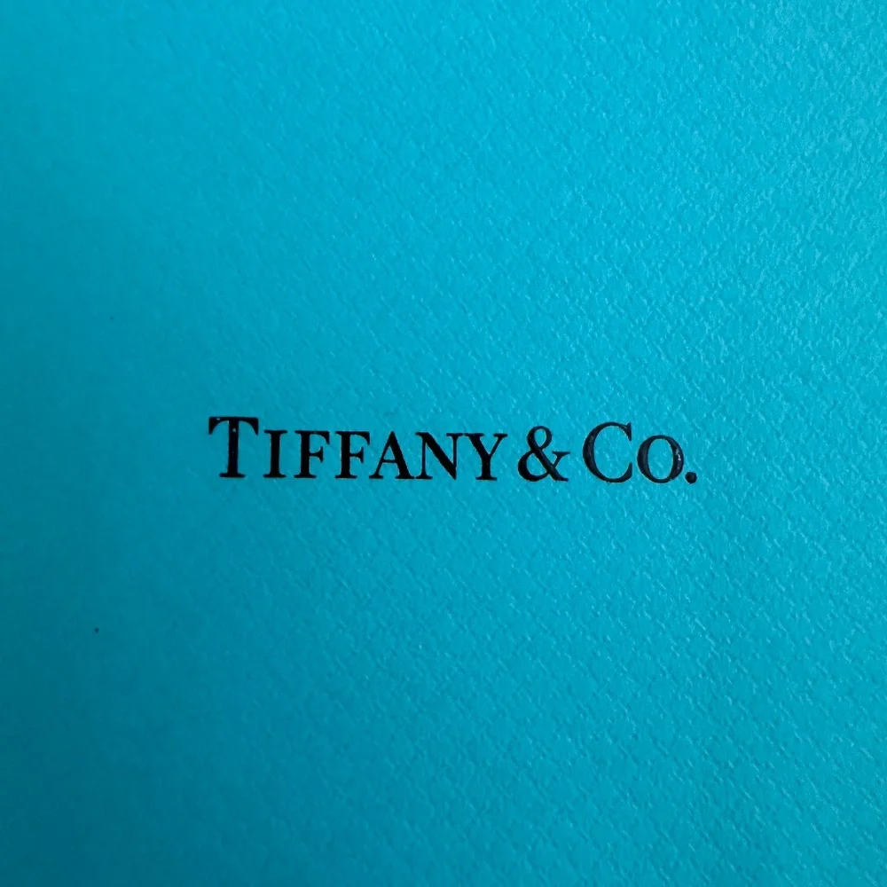 Tiffany & Co Paper Gift Bag Small 6